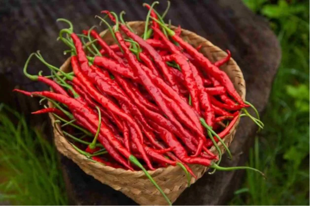 14 SIRARAKONG HATHEI CHILLI FESTIVAL explained for UPSC