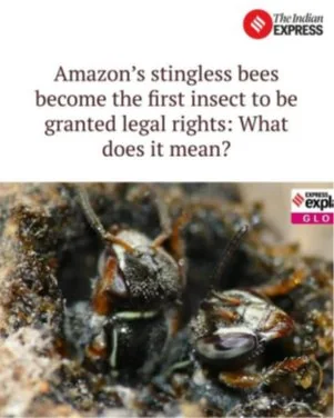AMAZON’S STINGLESS BEE BECOMES FIRST INSECT TO GET LEGAL RIGHTS explained for UPSC