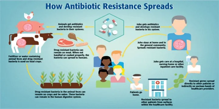 Antimicrobial Resistance