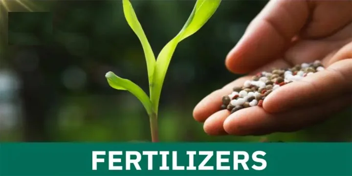 Balanced Fertilisation