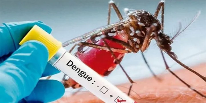 Bihar records highest dengue cases and deaths in 5 years: What’s behind the surge