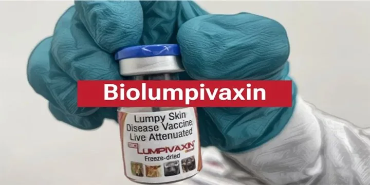 BIolumpi Vaxin