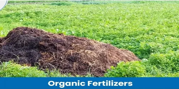 BLENDING OF ORGANIC MANURE WITH FERTILIZERS