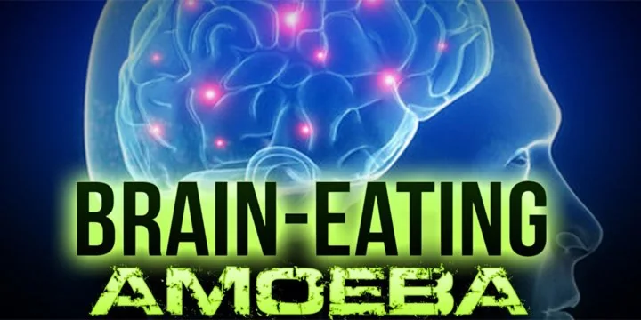 BRAIN EATING AMOEBA