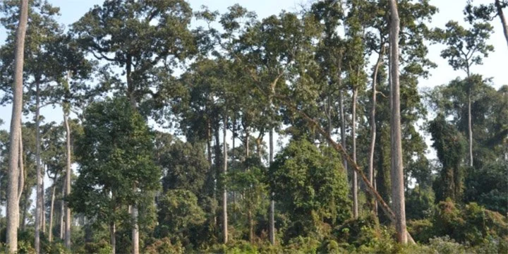 CAG AUDIT FLAGS MAJOR GAPS IN GREEN INDIA MISSION