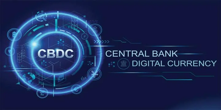 Central Bank Digital Currency
