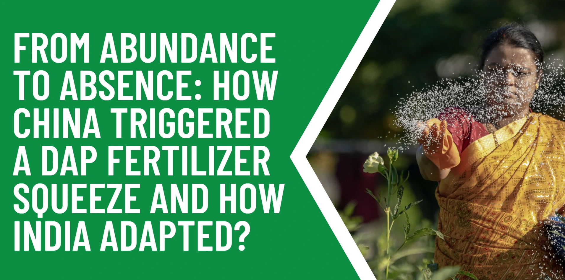 from-abundance