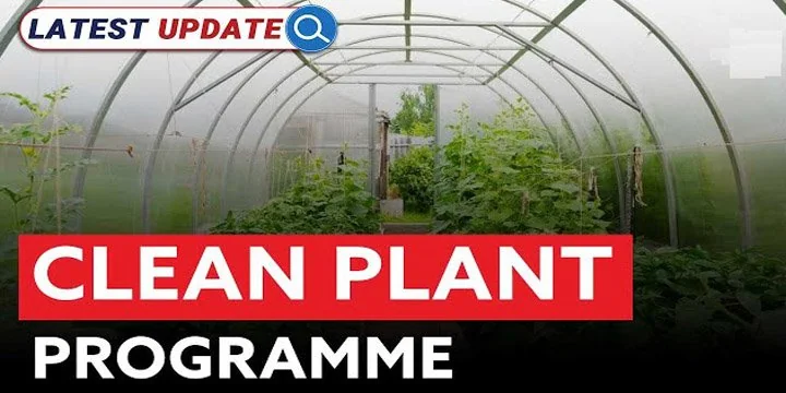 Clean Plant Program