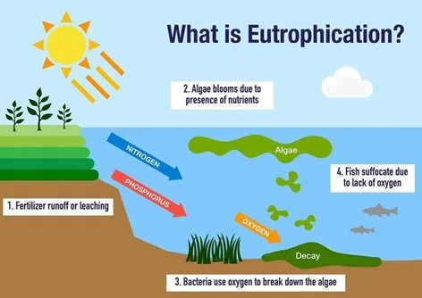 Climate Change Limits Cleanup Efforts By Accelerating Algal Growth explained for UPSC