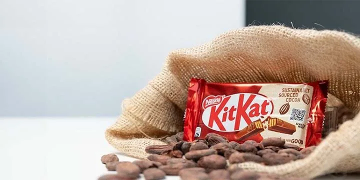 Cocoa Industry Impacted