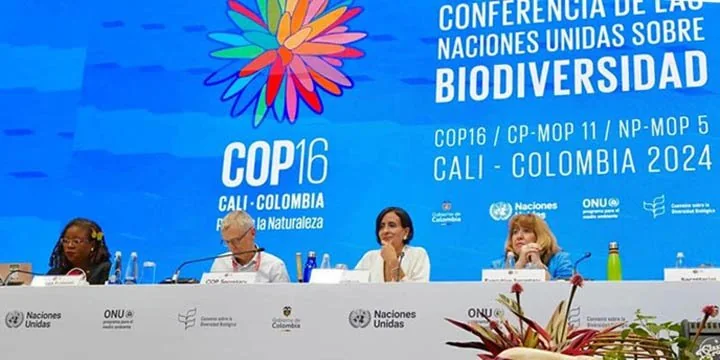CoP 16 OF UN CONVENTION ON BIODIVERSITY (CBD)