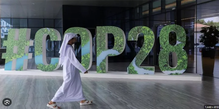 COP28 in Dubai: What to expect from climate meeting