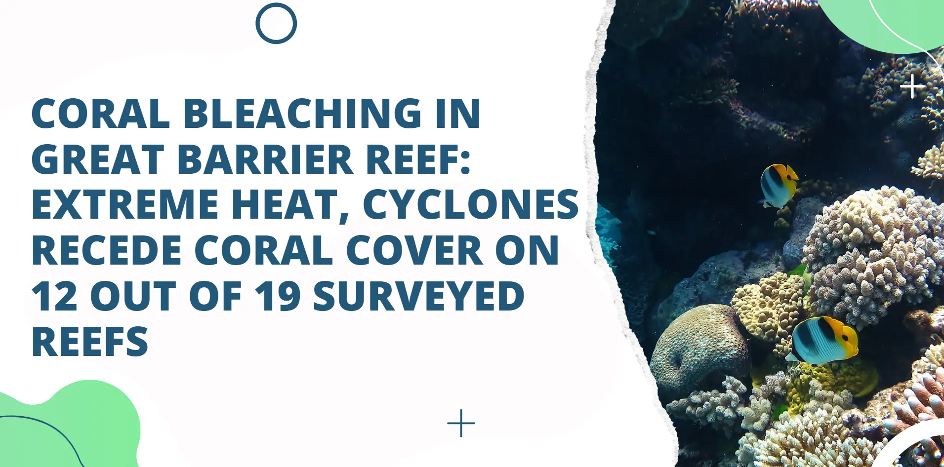 Coral bleaching in Great Barrier Reef: Extreme heat, cyclones recede coral cover on 12 out of 19 surveyed reefs