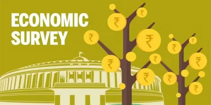 Economic Survey 2024