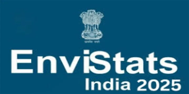 ENVISTATS 2025