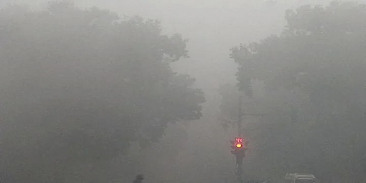 Fog in North India