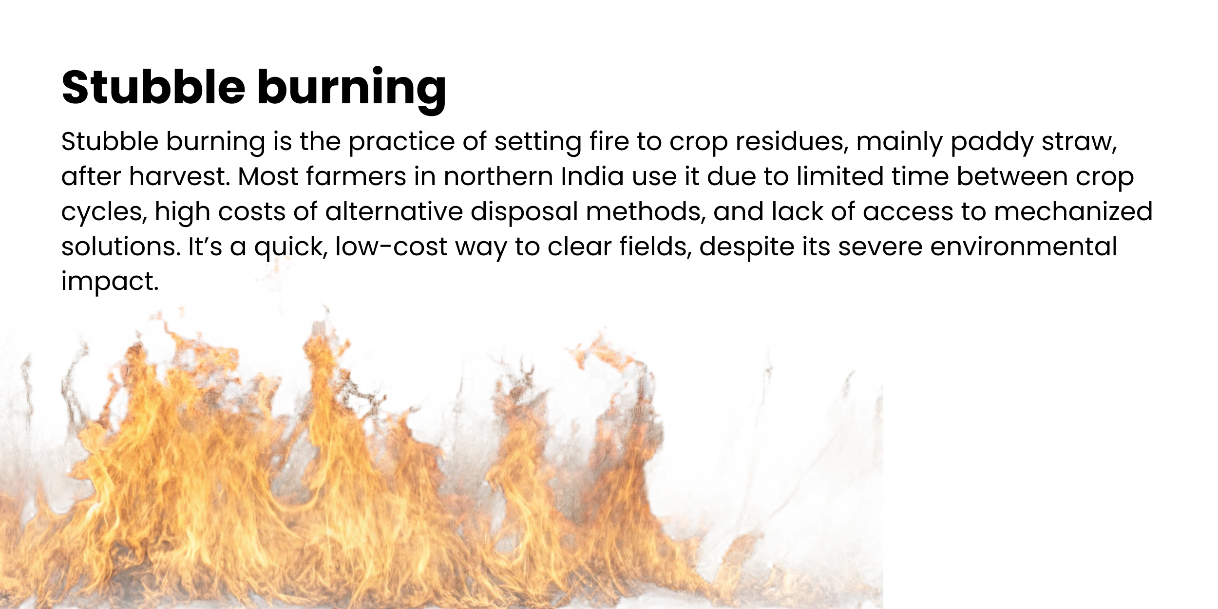 stubbel-burning