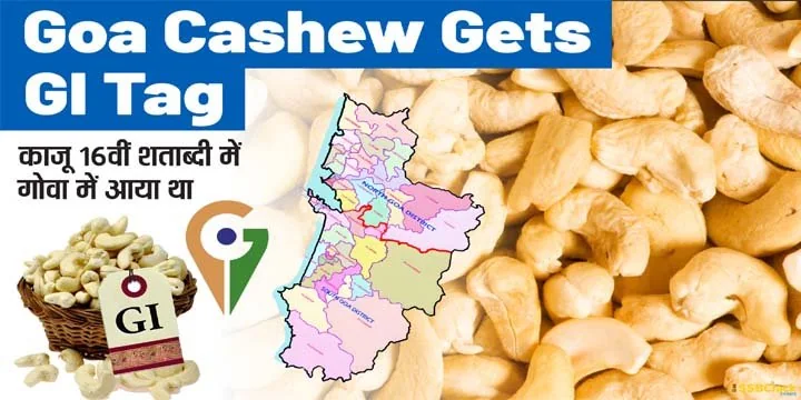 GI tag for GOAN CASHEW
