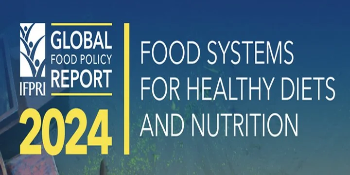 Global Food Policy Report, 2024