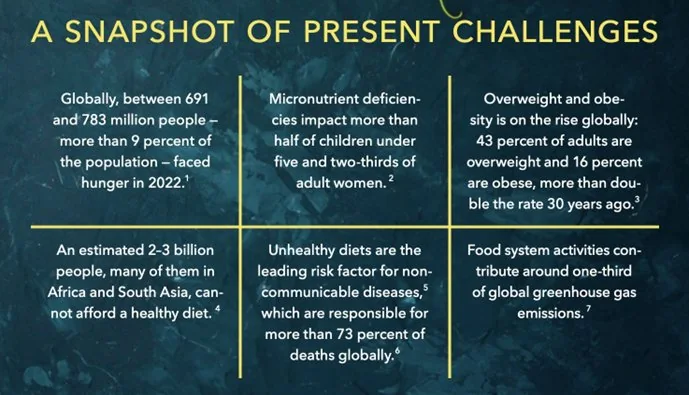 Global Food Policy Report, 2024 explained for UPSC