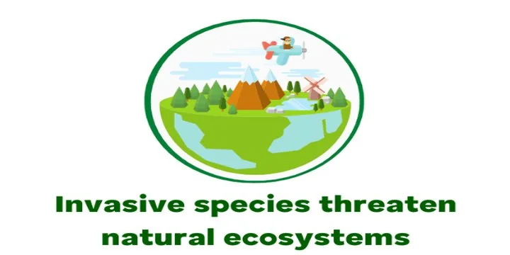 How Invasive Species Threaten Natural Ecosystem