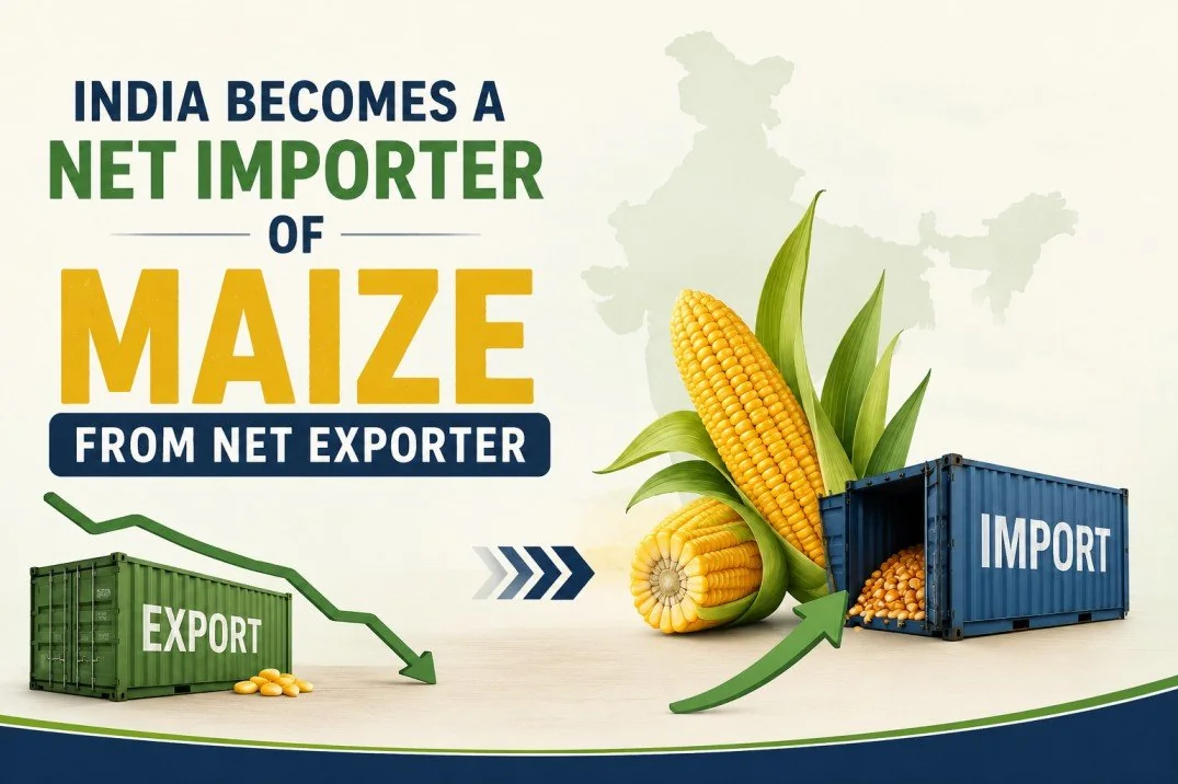 India becomes a net importer of maize under rising E20 ethanol demand