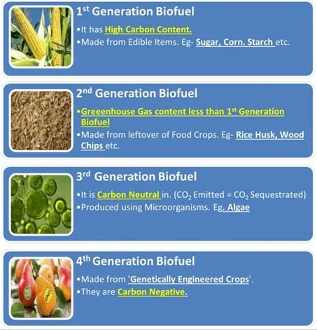 India Becomes World's 3rd Largest Producer & Consumer Of Ethanol explained for UPSC