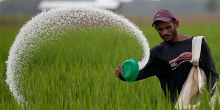 India Is Second Largest Emitter of Nitrous Oxide
