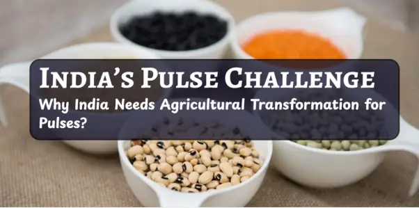 India Pulse Challenge