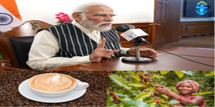 INDIAN COFFEE GAINING POPULARITY