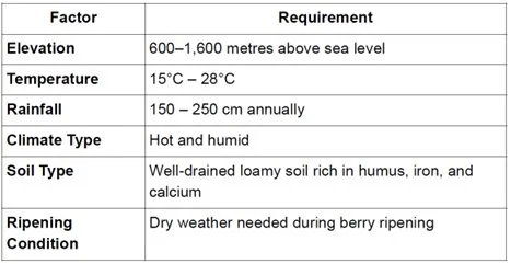 INDIAN COFFEE GAINING POPULARITY explained for UPSC