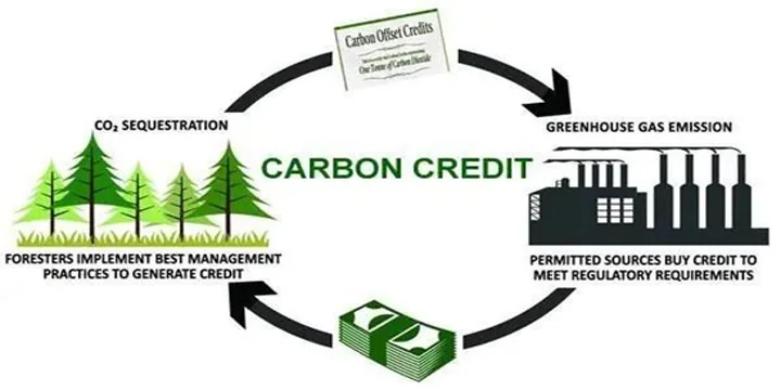 India's Carbon Credit Trading Scheme : An Assessment