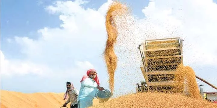 INDIA’S FOOD PRODUCTION