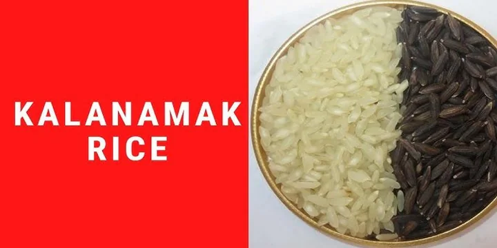 KALANAMAK RICE OR BUDDHA RICE