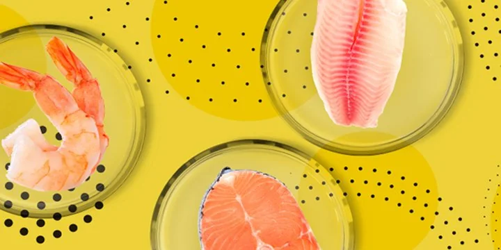 Lab grown fish