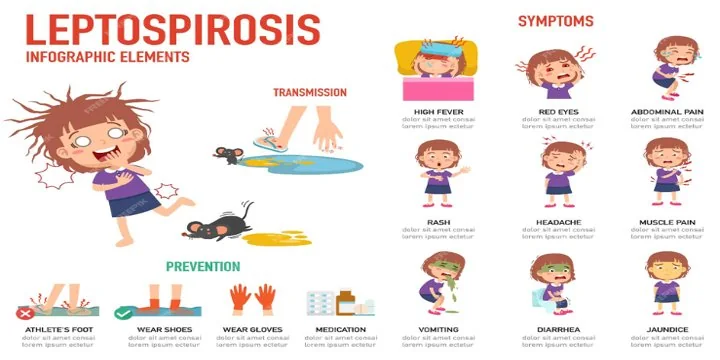 LEPTOSPIROSIS