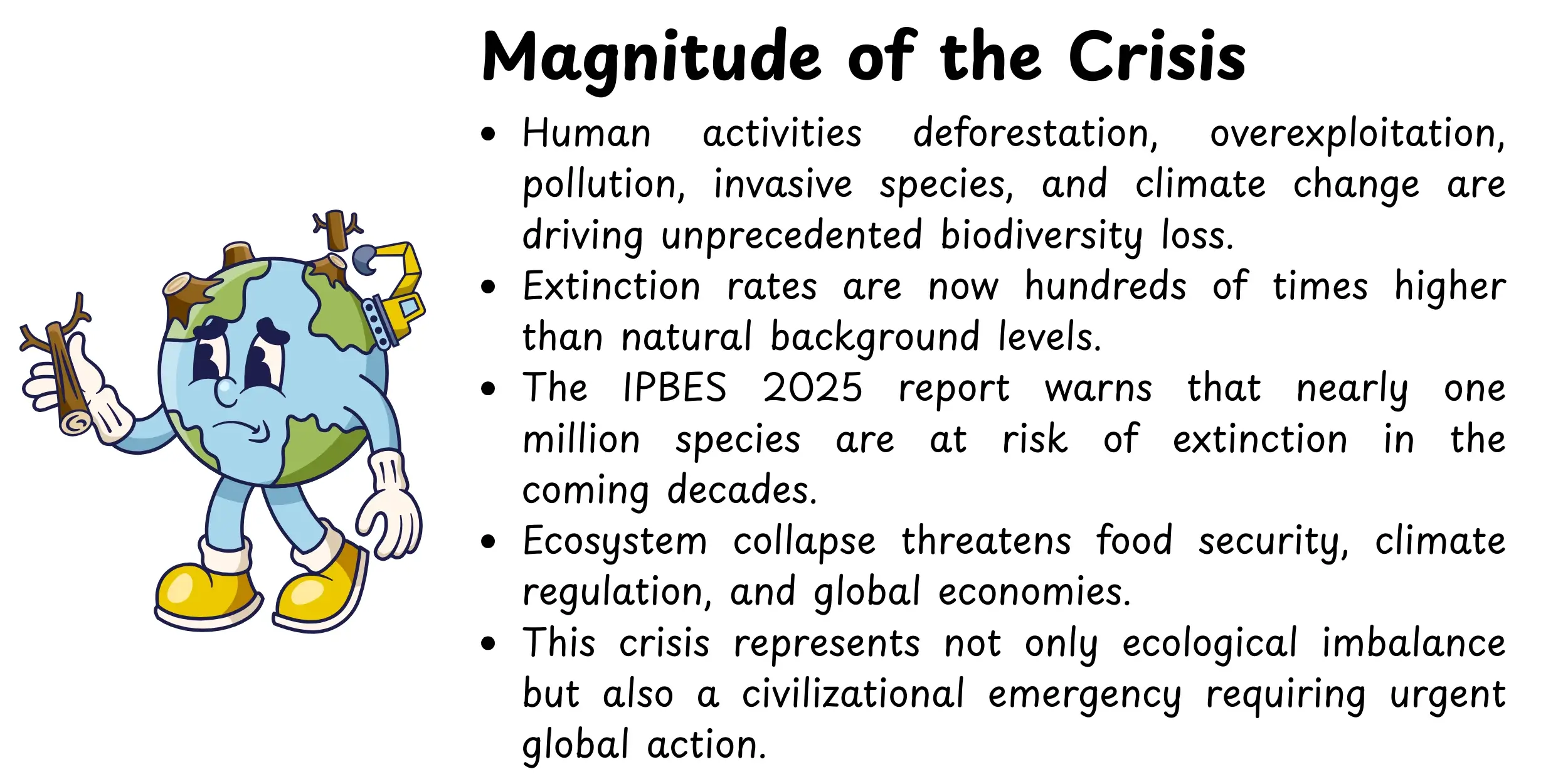 magnitude of the crisis