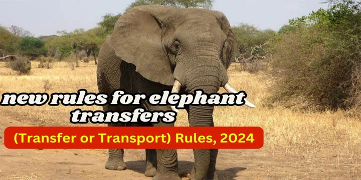 NEW RULES FOR ELEPHANT TRANSFERS