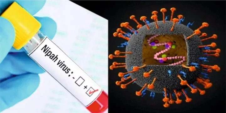 NIPAH VIRUS