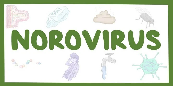 Norovirus