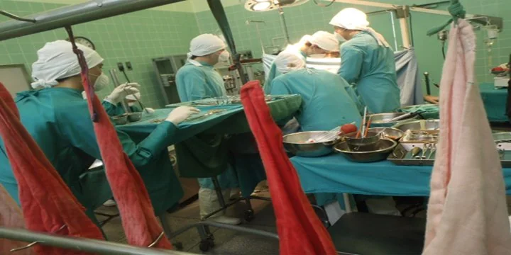 Organs Transplantation