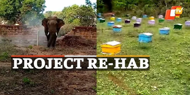 Project RE-HAB