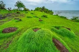 Protecting Goa's Lateritic Plateaus