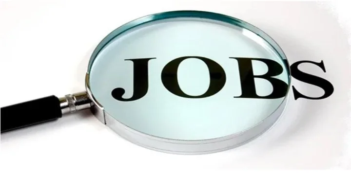RBI Data On Jobs