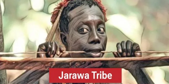 Reaching Jarawa Tribes For Census