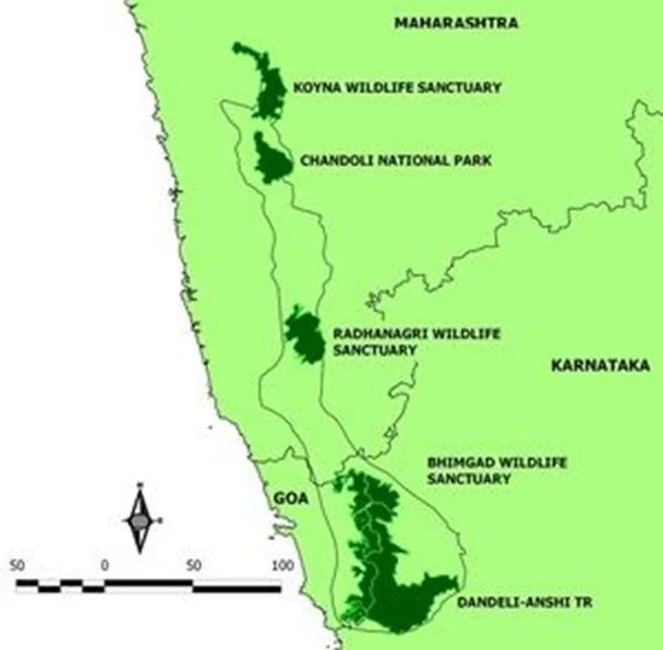 Relocation Of Tigers in Maharashtra explained for UPSC