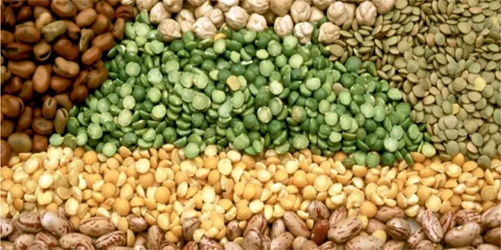 RISING PULSES PRICES