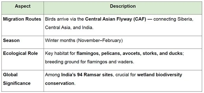 SAMBHAR SEES HUGE SURGE IN MIGRATORY BIRDS explained for UPSC