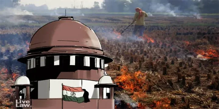 SC Seeks Report From Commission For Air Quality Management On Stubble Burning