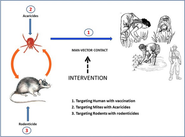 Intervention